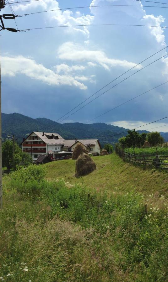 Casa De Vacanta Perla Colibitei Colibiţa Exteriör bild
