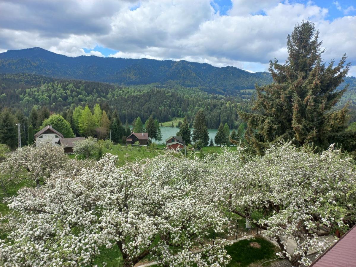 Casa De Vacanta Perla Colibitei Colibiţa Exteriör bild
