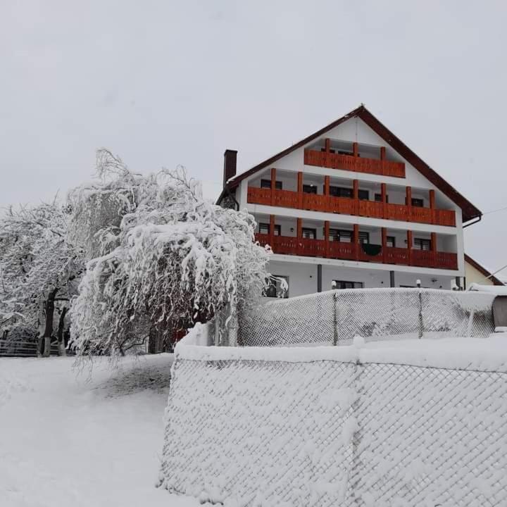 Casa De Vacanta Perla Colibitei Colibiţa Exteriör bild